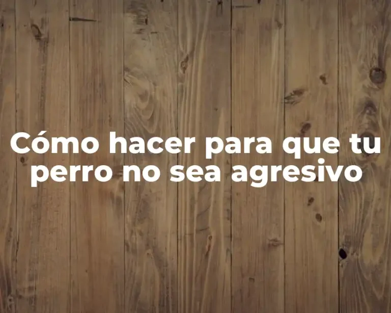 Cómo hacer para que tu perro no sea agresivo