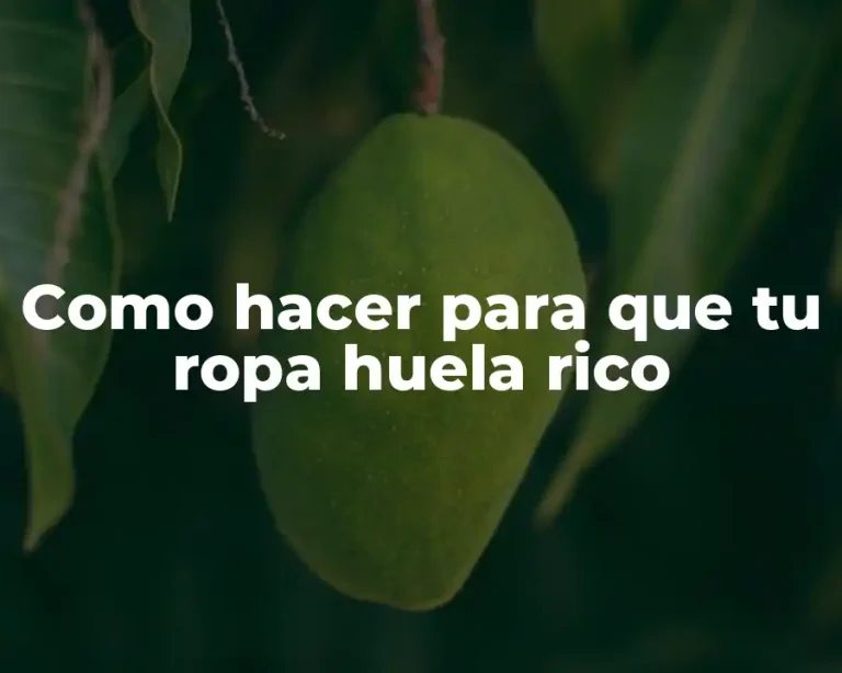 Como hacer para que tu ropa huela rico