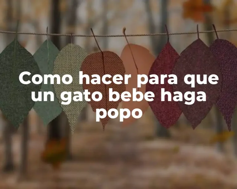 Como hacer para que un gato bebe haga popo