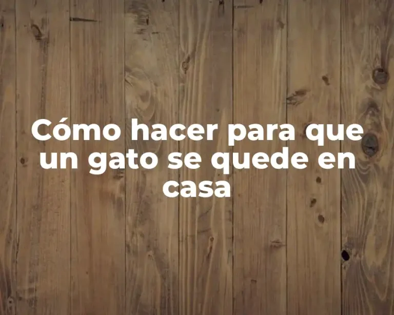 Cómo hacer para que un gato se quede en casa