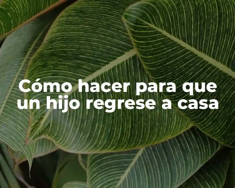 Cómo hacer para que un hijo regrese a casa