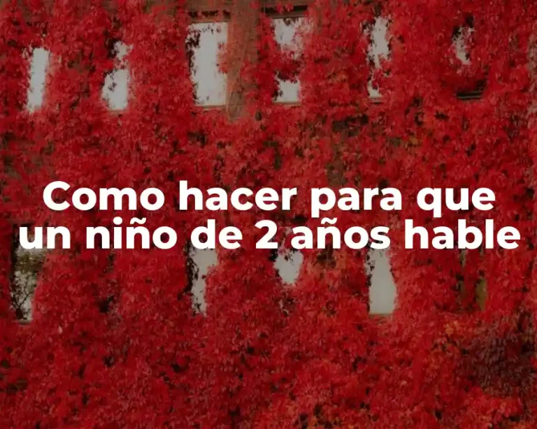 Como hacer para que un niño de 2 años hable