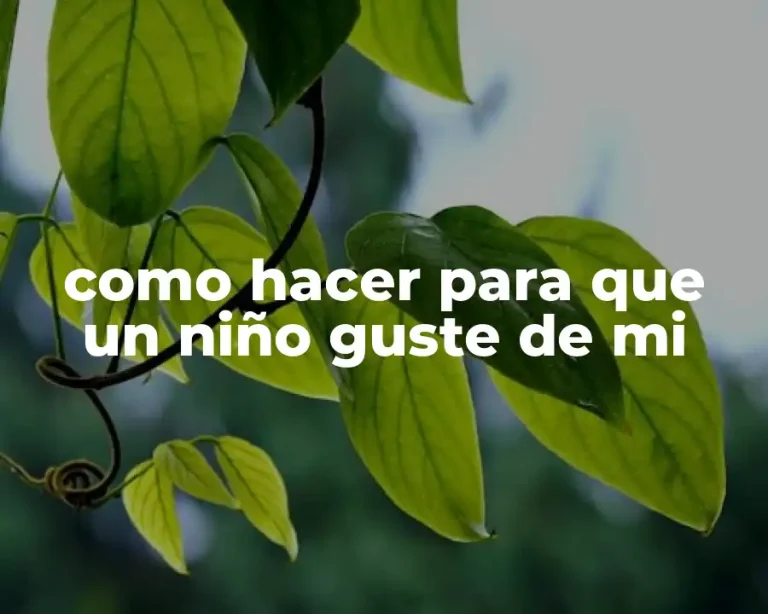 como hacer para que un niño guste de mi