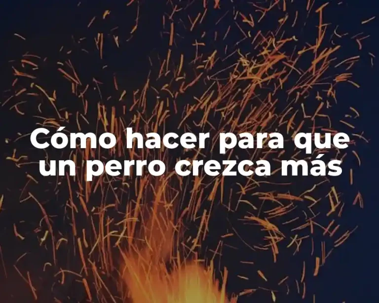 Cómo hacer para que un perro crezca más