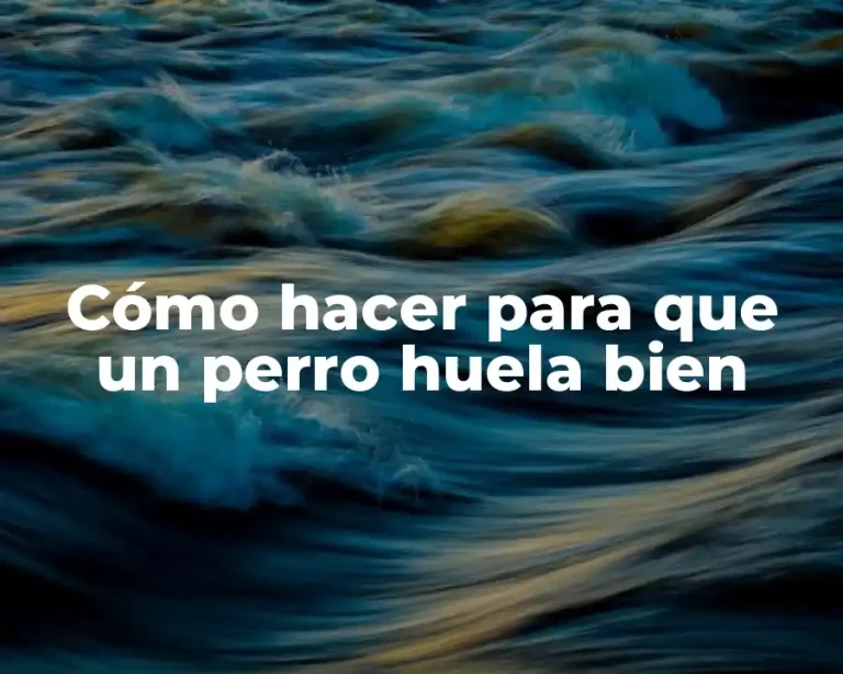 Cómo hacer para que un perro huela bien
