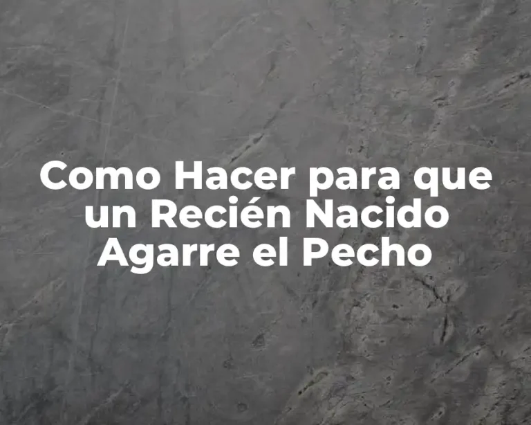 Como Hacer para que un Recién Nacido Agarre el Pecho