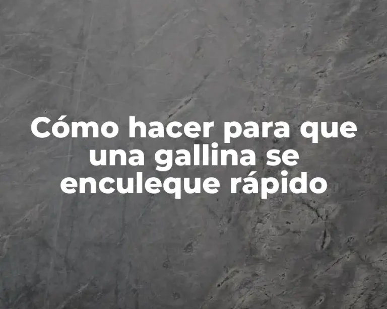 Cómo hacer para que una gallina se enculeque rápido