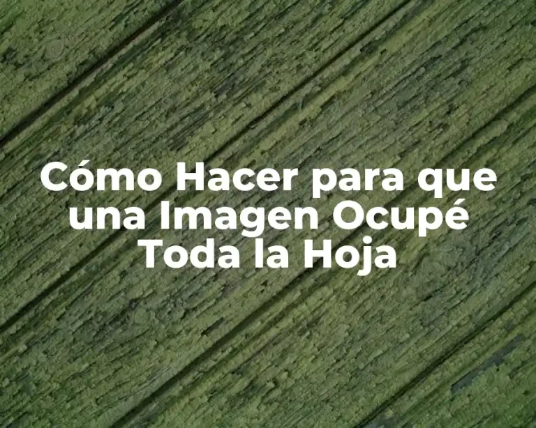 Cómo Hacer para que una Imagen Ocupé Toda la Hoja