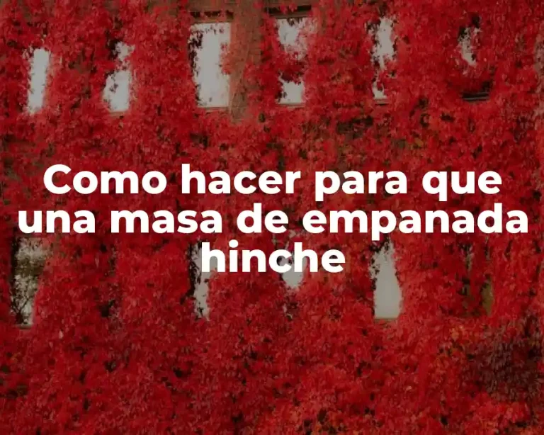 Como hacer para que una masa de empanada hinche