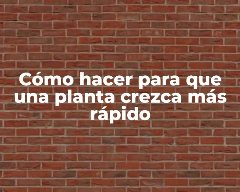 Cómo hacer para que una planta crezca más rápido