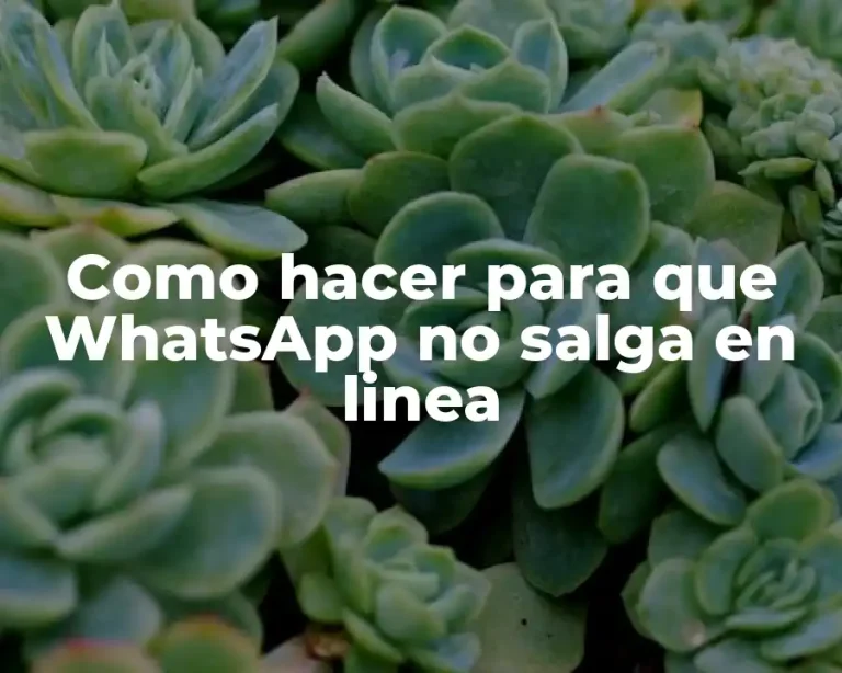 Como hacer para que WhatsApp no salga en linea