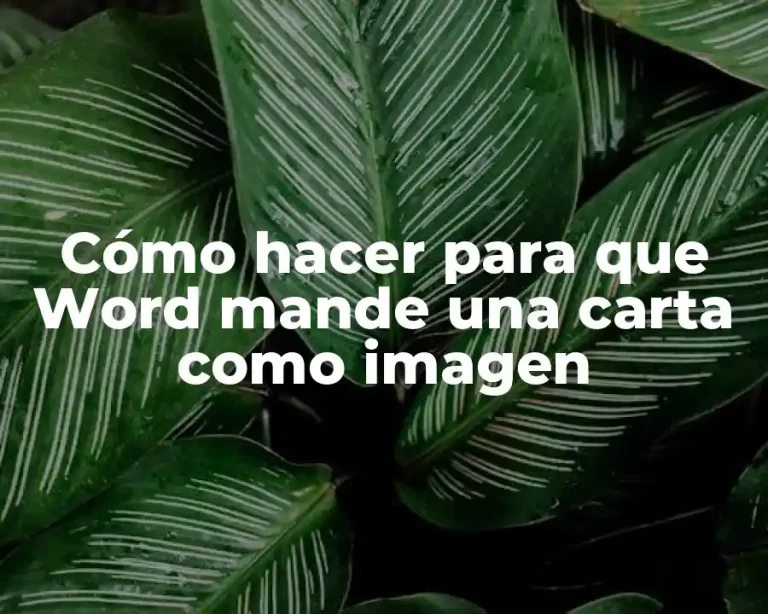 Cómo hacer para que Word mande una carta como imagen