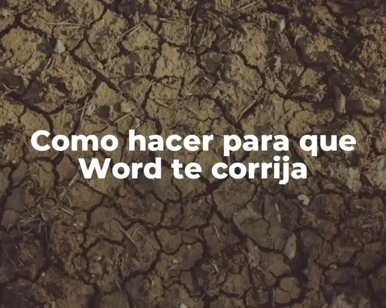 Como hacer para que Word te corrija