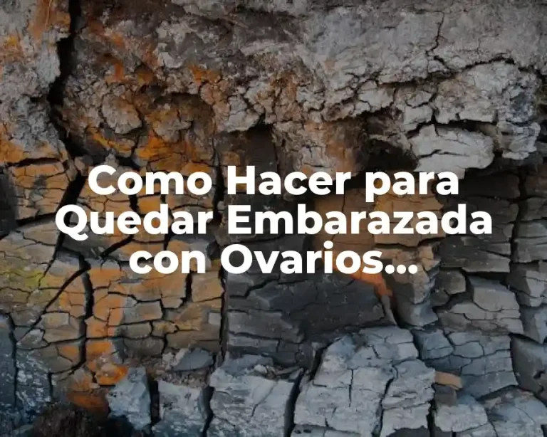 Como Hacer para Quedar Embarazada con Ovarios Poliquísticos