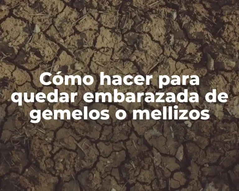 Cómo hacer para quedar embarazada de gemelos o mellizos