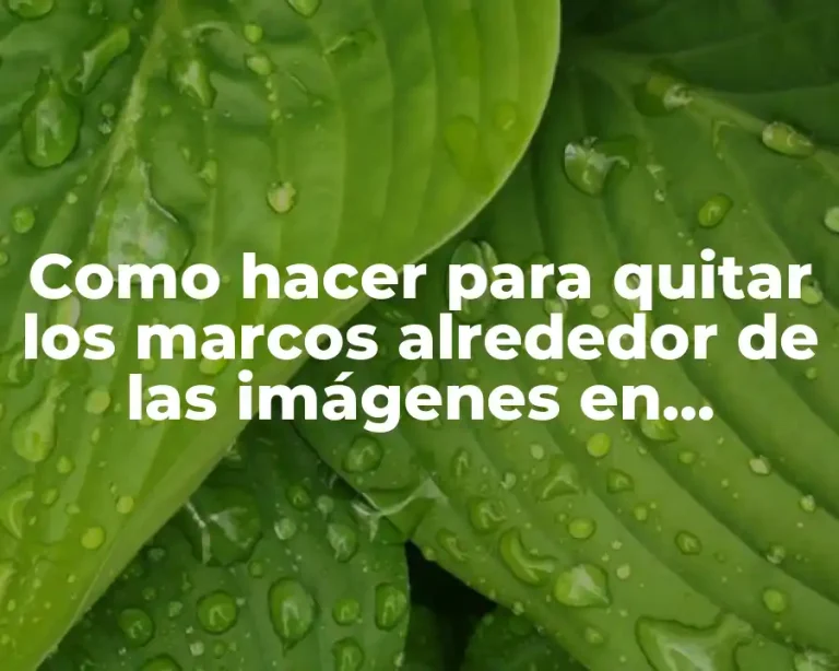 Como hacer para quitar los marcos alrededor de las imágenes en AutoCAD