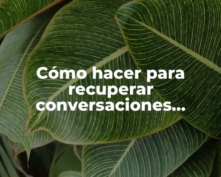 Cómo hacer para recuperar conversaciones eliminadas de WhatsApp