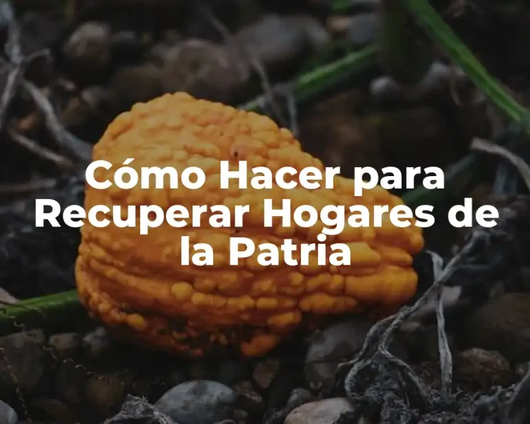 Cómo Hacer para Recuperar Hogares de la Patria