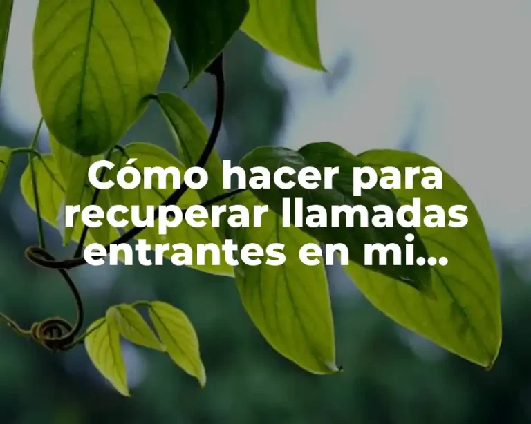 Cómo hacer para recuperar llamadas entrantes en mi teléfono