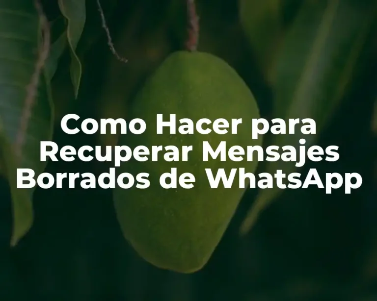 Como Hacer para Recuperar Mensajes Borrados de WhatsApp