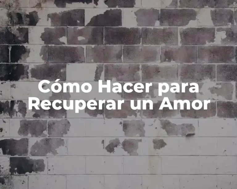 Cómo Hacer para Recuperar un Amor