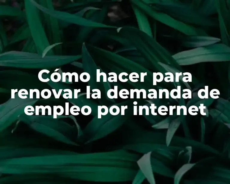 Cómo hacer para renovar la demanda de empleo por internet