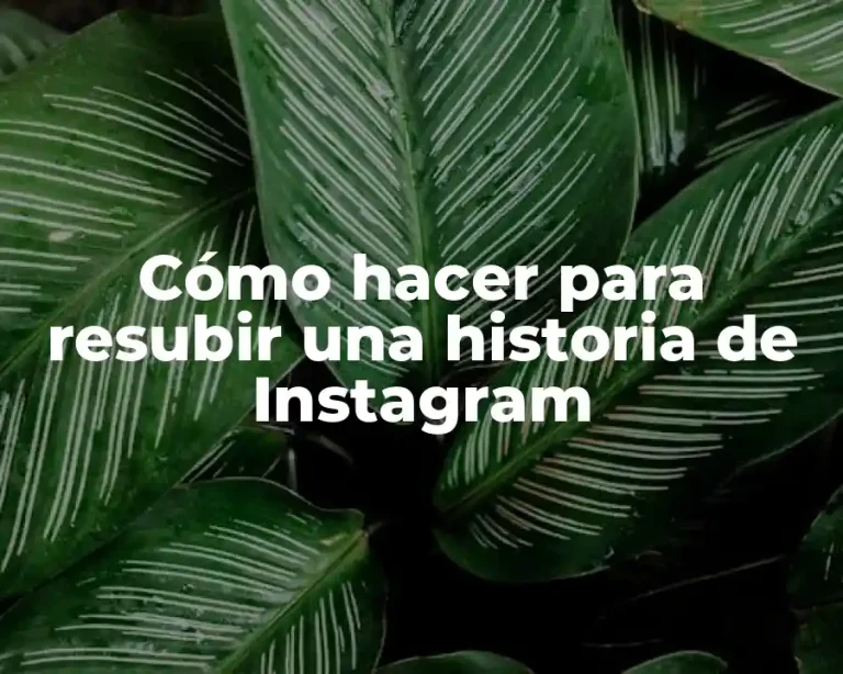 Cómo hacer para resubir una historia de Instagram