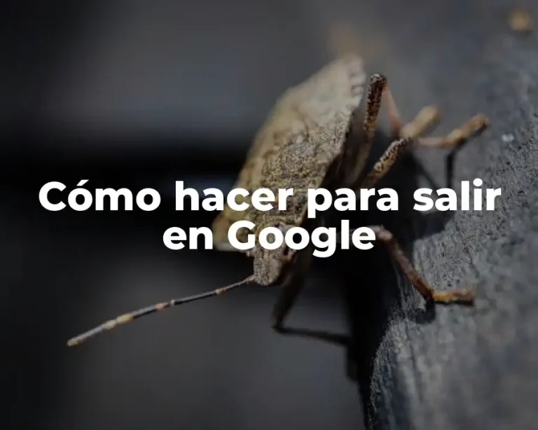 Cómo hacer para salir en Google