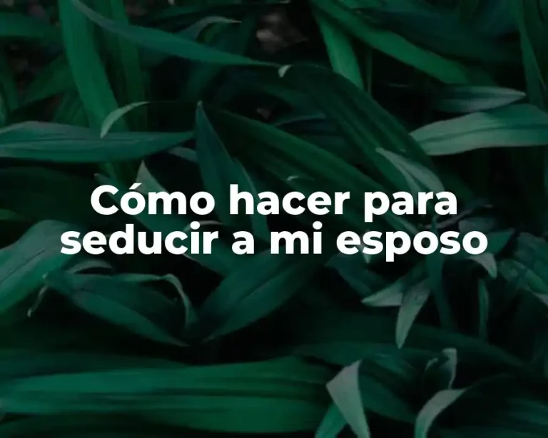 Cómo hacer para seducir a mi esposo