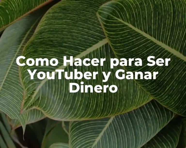Como Hacer para Ser YouTuber y Ganar Dinero