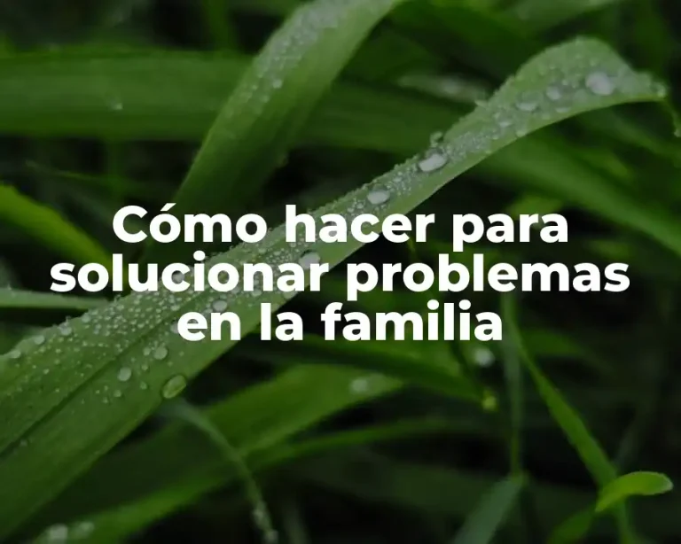 Cómo hacer para solucionar problemas en la familia