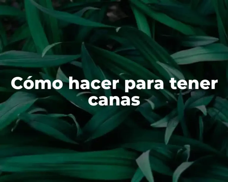 Cómo hacer para tener canas