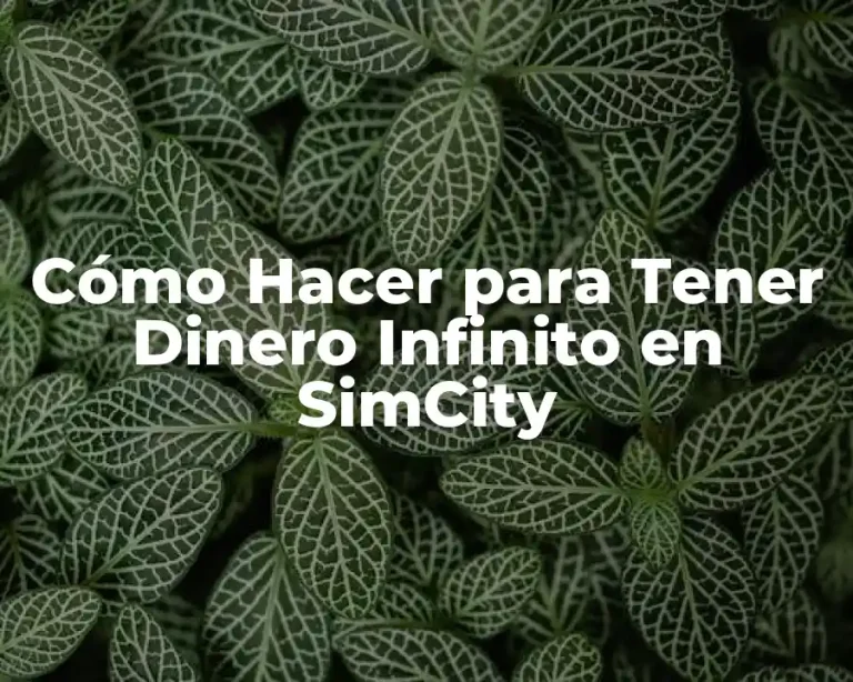 Cómo Hacer para Tener Dinero Infinito en SimCity