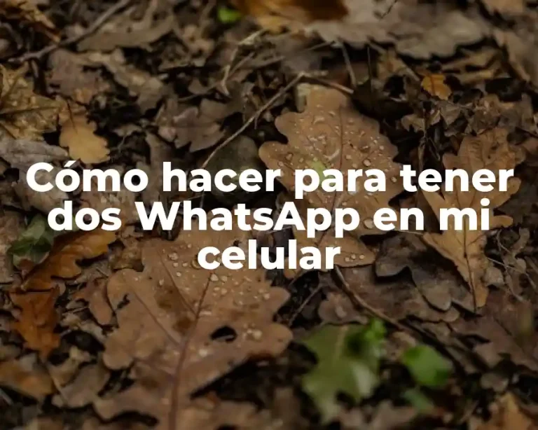 Cómo hacer para tener dos WhatsApp en mi celular