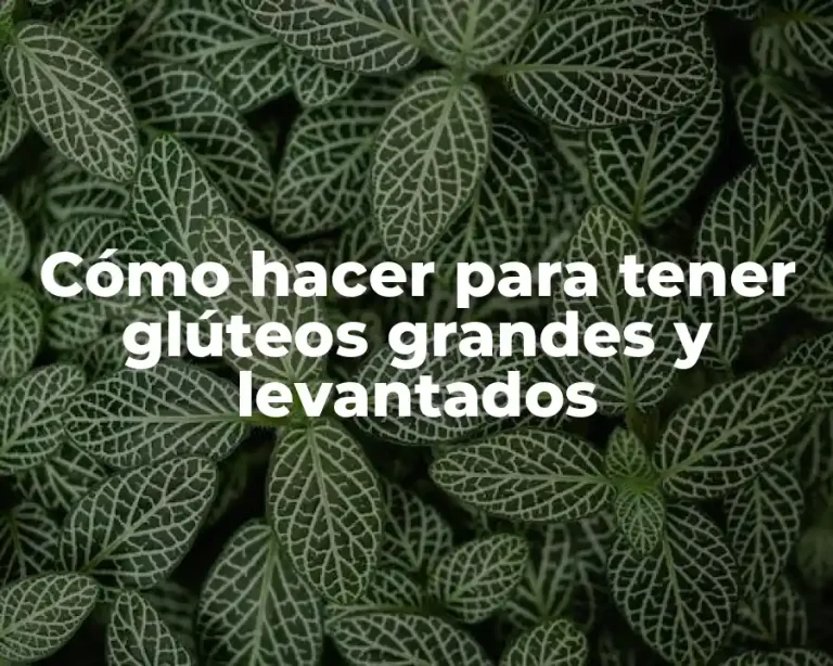Cómo hacer para tener glúteos grandes y levantados