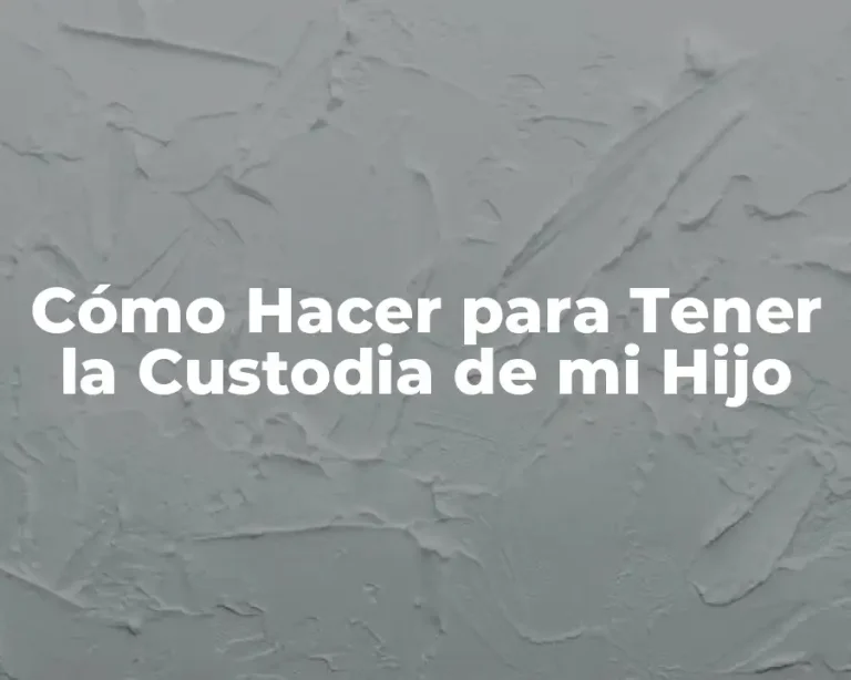 Cómo Hacer para Tener la Custodia de mi Hijo