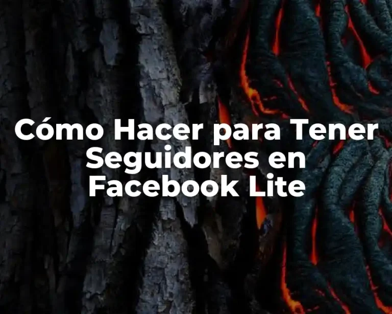 Cómo Hacer para Tener Seguidores en Facebook Lite