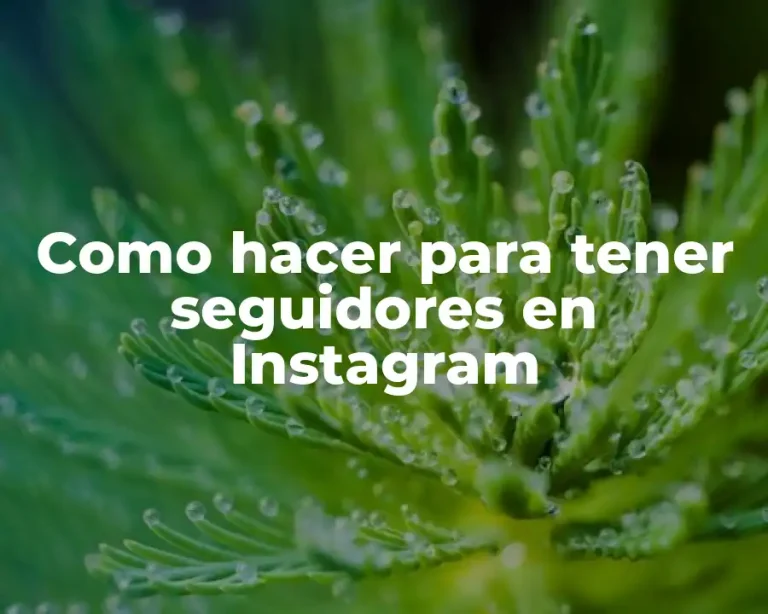 Como hacer para tener seguidores en Instagram