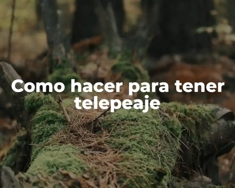 Como hacer para tener telepeaje