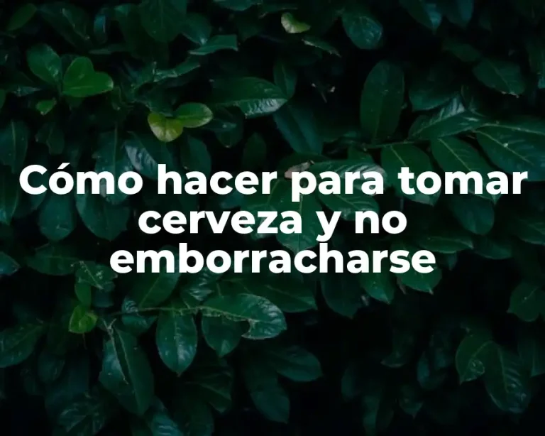 Cómo hacer para tomar cerveza y no emborracharse