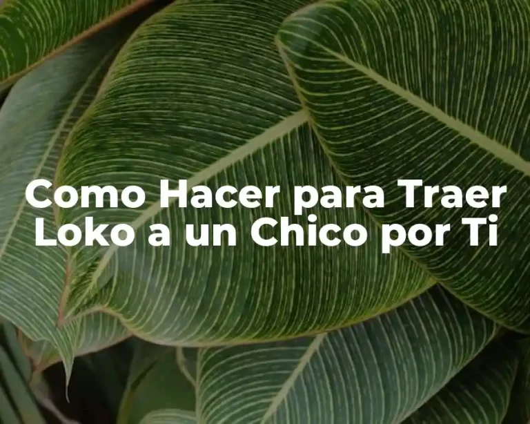 Como Hacer para Traer Loko a un Chico por Ti