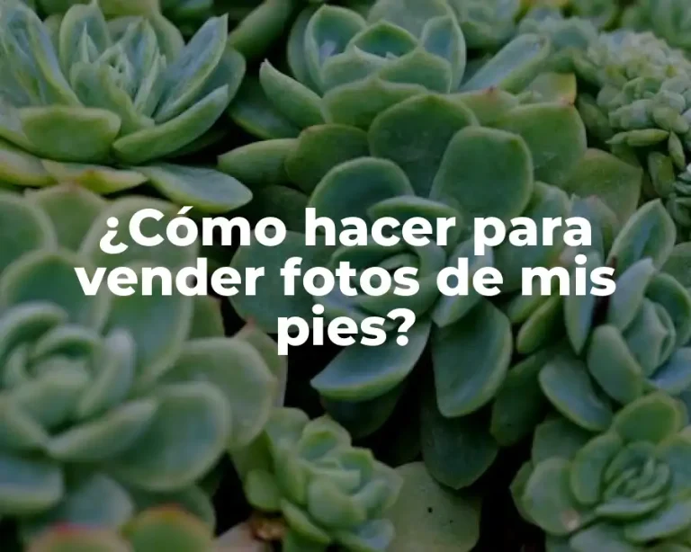 ¿Cómo hacer para vender fotos de mis pies?