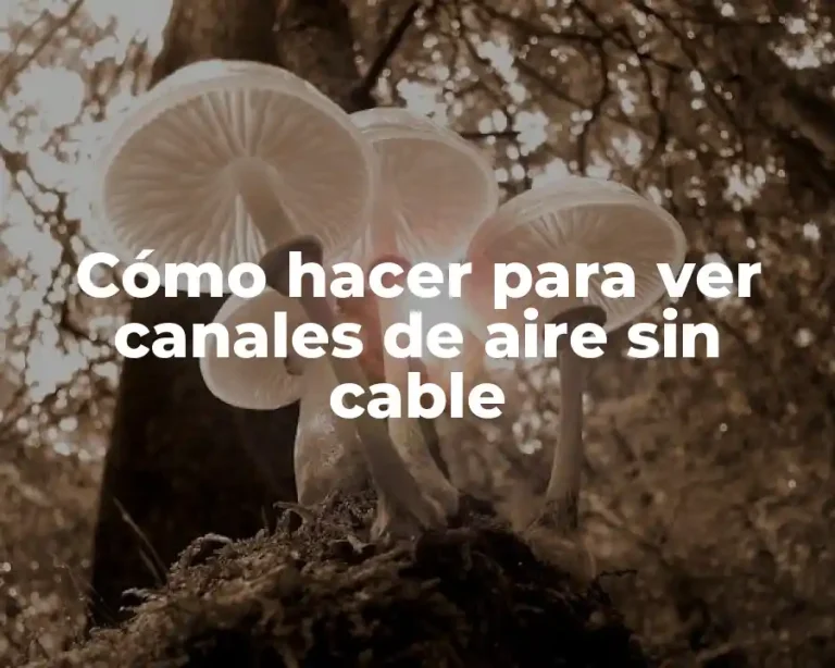 Cómo hacer para ver canales de aire sin cable