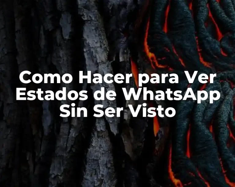 Como Hacer para Ver Estados de WhatsApp Sin Ser Visto