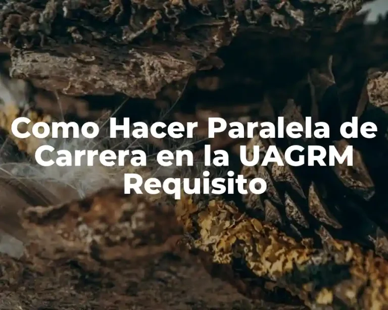Como Hacer Paralela de Carrera en la UAGRM Requisito
