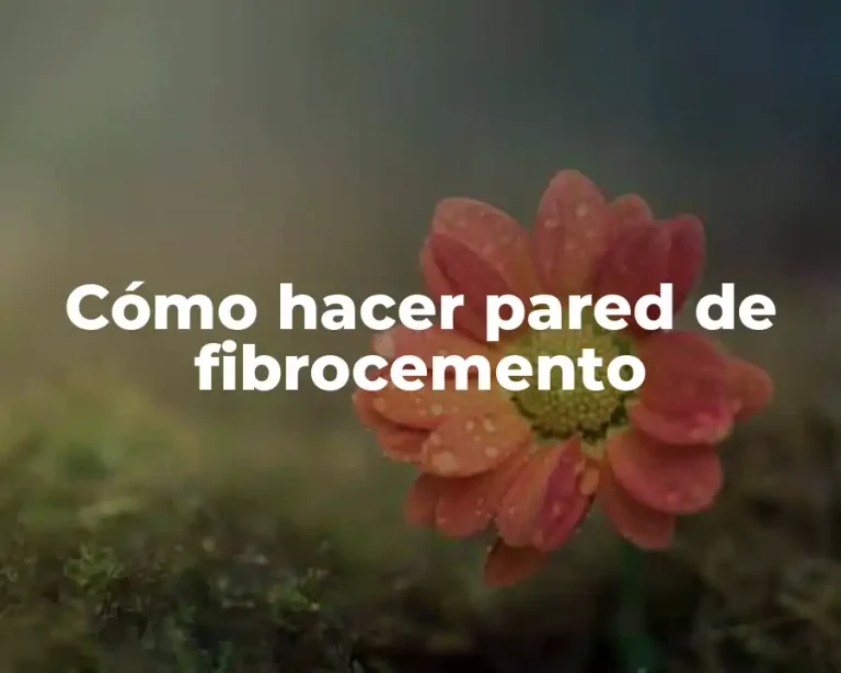 Cómo hacer pared de fibrocemento