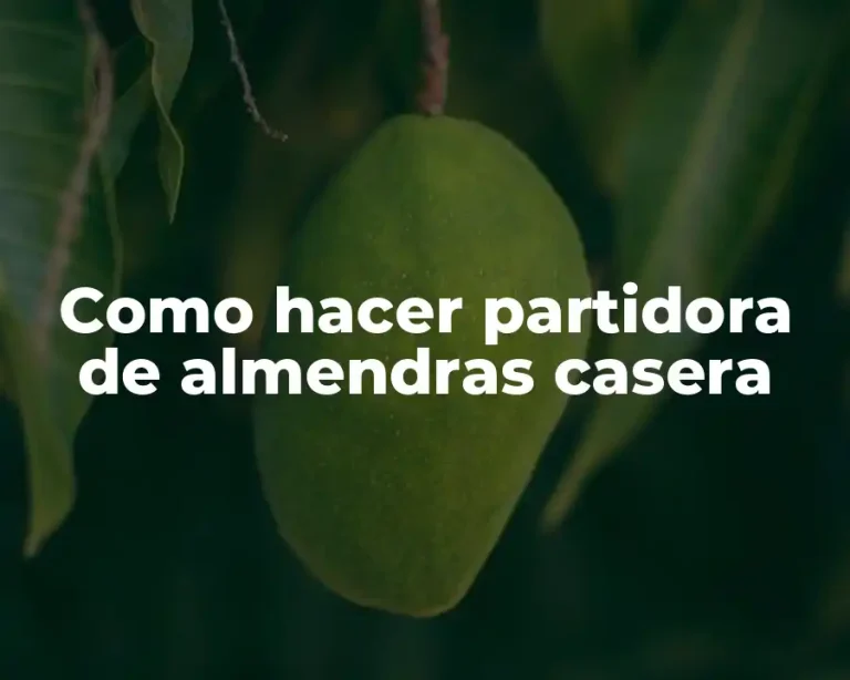 Como hacer partidora de almendras casera
