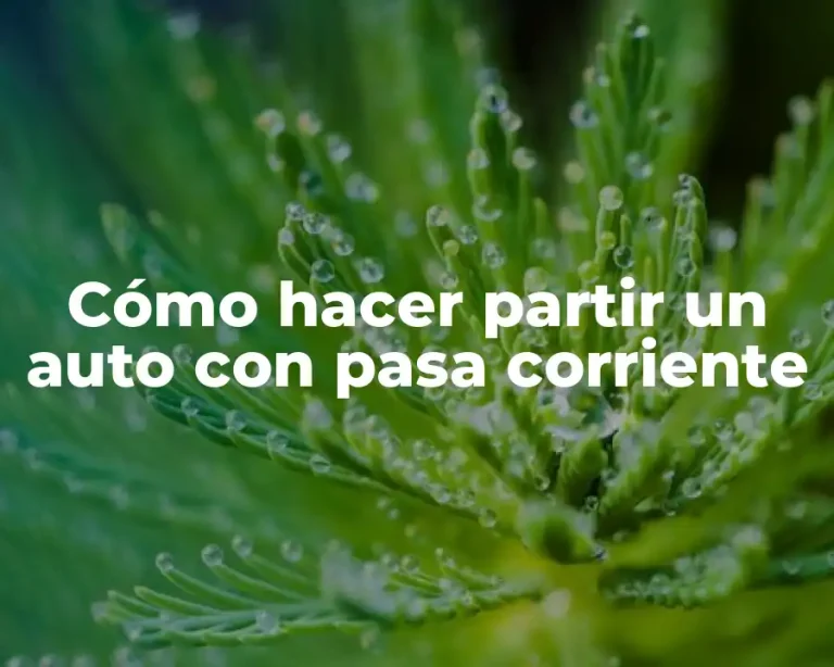 Cómo hacer partir un auto con pasa corriente
