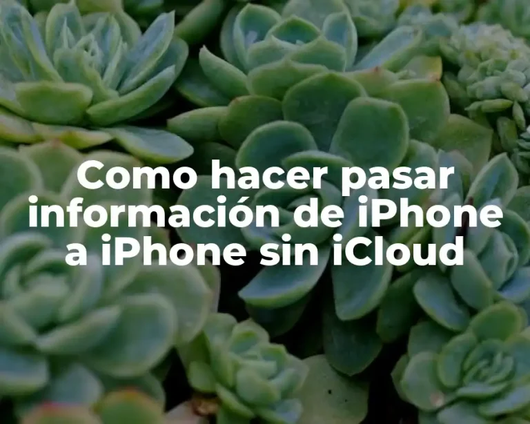 Como hacer pasar información de iPhone a iPhone sin iCloud