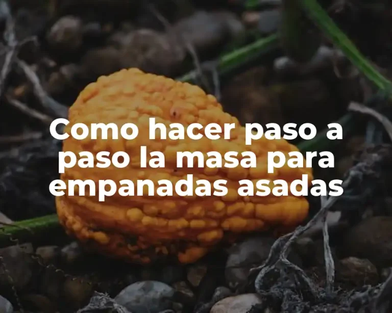 Como hacer paso a paso la masa para empanadas asadas